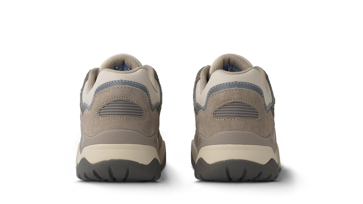FUSION XT - SILVER LINING / ADOBE ROSE