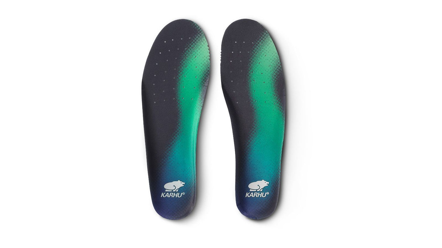 ARIA 95 “NORTHERN LIGHTS” PACK - INDIA INK / DARK OLIVE F803089